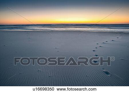 Stock Image - Footprints on sandy beach at sunrise. Fotosearch