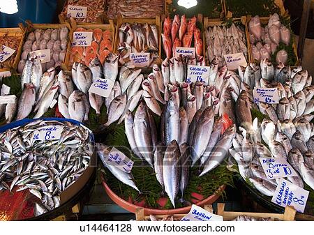 Fresh fish for sale, Galata bridge fish market, Istanbul, Turkey View Large Photo Image Stock Photo - Fresh fish for sale, Galata bridge fish market, Istanbul, Turkey. Fotosearch