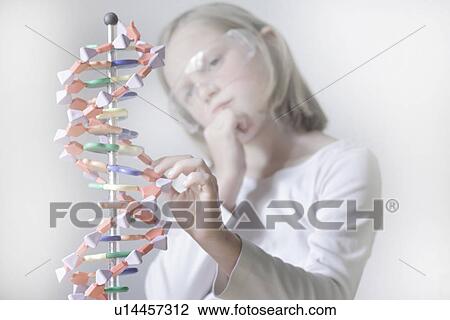 Girl examining molecular model View Large Photo Image Stock Image - Girl examining molecular model. Fotosearch