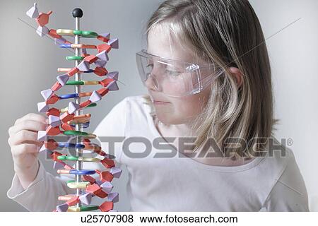 Stock Photo - Girl examining molecular model. Fotosearch