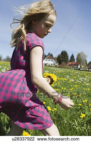 Stock Image - Girl picking wildflowers in field. Fotosearch