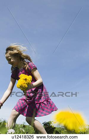 Stock Photograph - Girl picking wildflowers in field. Fotosearch