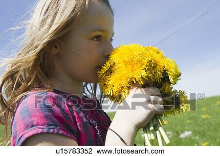 Girl smelling wildflowers in field View Large Photo Image Stock Image - Girl smelling wildflowers in field. Fotosearch