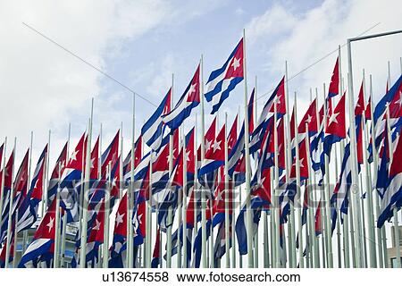 Group of Cuban flags against blue sky View Large Photo Image Stock Photo - Group of Cuban flags against blue sky. Fotosearch