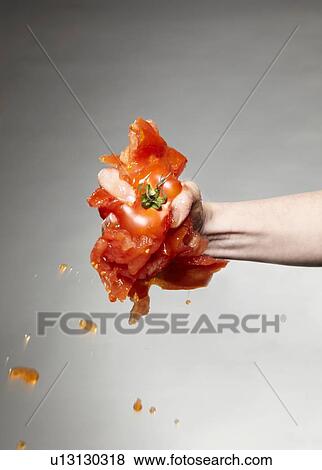 Stock Photo - Hand squeezing raw tomato. Fotosearch