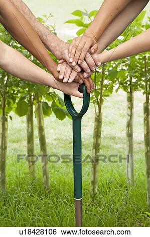 Stock Photograph - Hands pushing shovel into dirt. Fotosearch