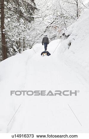Man pulling sled in snowy field View Large Photo Image Stock Image - Man pulling sled in snowy field. Fotosearch