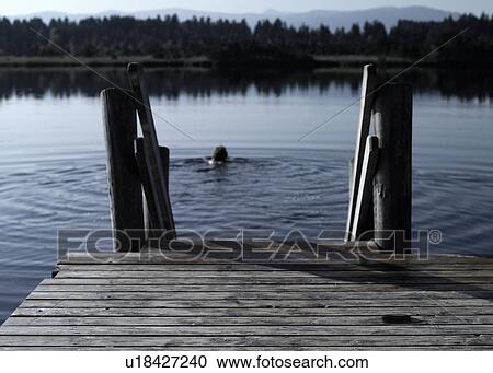 Man swimming in still lake View Large Photo Image Stock Image - Man swimming in still lake. Fotosearch