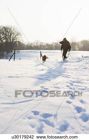 Man walking dog in snowy field View Large Photo Image Stock Image - Man walking dog in snowy field. Fotosearch