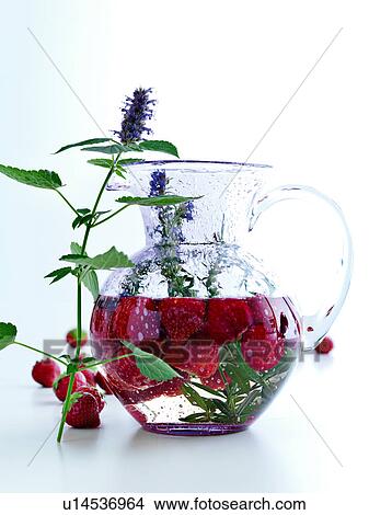 Pitcher of fruit, herbs and water View Large Photo Image Picture - Pitcher of fruit, herbs and water. Fotosearch
