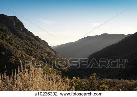Stock Image - Plants growing on hillsides in valley, Malibu, California, USA. Fotosearch