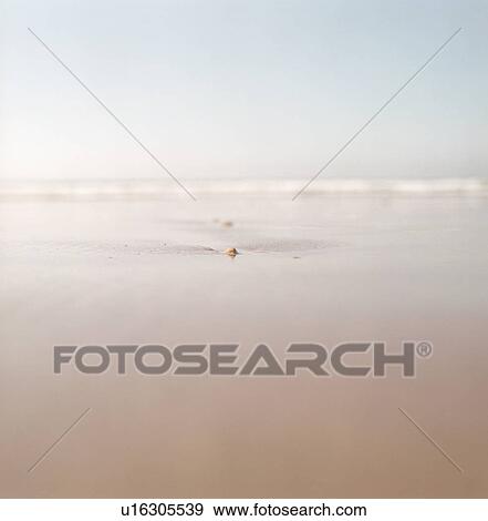 Ridges in wet sand on beach View Large Photo Image Stock Photo - Ridges in wet sand on beach. Fotosearch