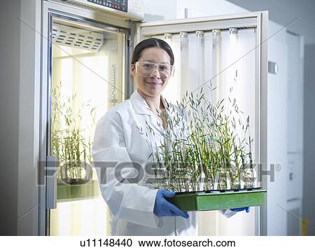Scientist carrying potted plants in lab View Large Photo Image Stock Image - Scientist carrying potted plants in lab. Fotosearch