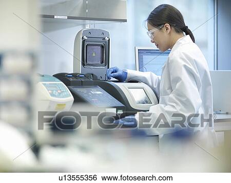 Scientist using computer in lab View Large Photo Image Stock Photograph - Scientist using computer in lab. Fotosearch
