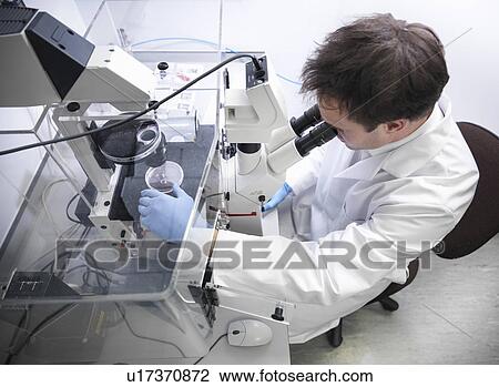 Scientist using microscope in lab View Large Photo Image Stock Image - Scientist using microscope in lab. Fotosearch