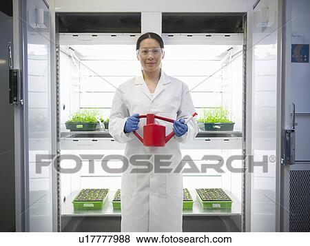 Scientist watering plants in container View Large Photo Image Stock Photo - Scientist watering plants in container. Fotosearch