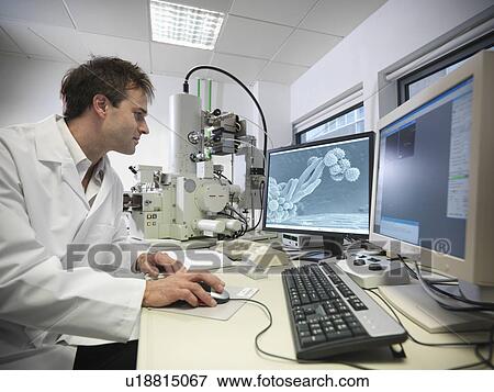 Scientist working on computer in lab View Large Photo Image Stock Photo - Scientist working on computer in lab. Fotosearch