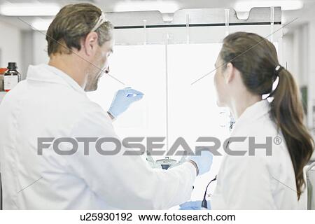Scientists working together in lab View Large Photo Image Stock Image - Scientists working together in lab. Fotosearch