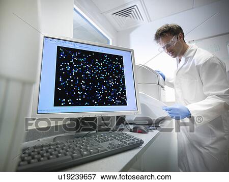 Scientists working with computer in lab View Large Photo Image Stock Photo - Scientists working with computer in lab. Fotosearch