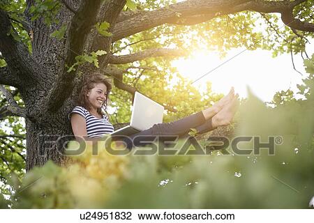 Smiling woman using laptop in tree View Large Photo Image Stock Image - Smiling woman using laptop in tree. Fotosearch