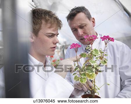 Stock Photography - Teacher and student in greenhouse. Fotosearch