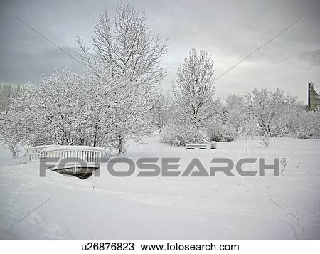 Stock Image - Trees and bridge in snowy landscape. Fotosearch