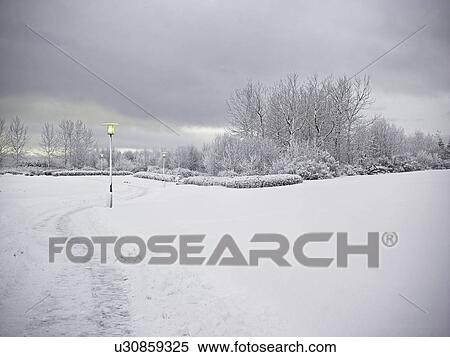 Stock Photography - Trees and dirt path in snowy landscape. Fotosearch