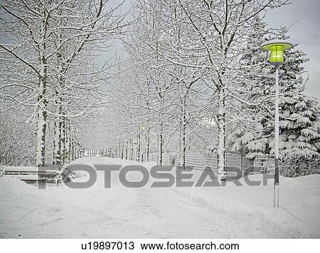 Stock Image - Trees and road in snowy landscape. Fotosearch