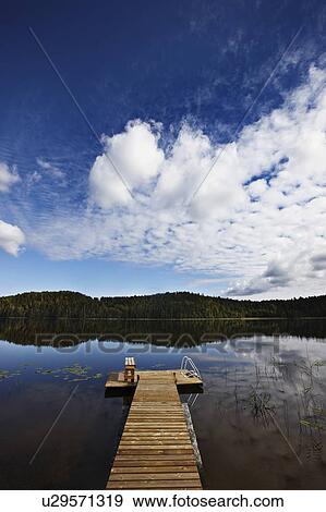 Trees and sky reflected in still lake View Large Photo Image Stock Photo - Trees and sky reflected in still lake. Fotosearch