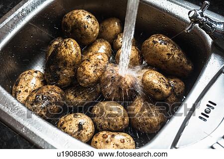 Stock Image - Water rinsing potatoes in sink. Fotosearch