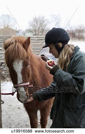 Stock Photo - Woman feeding apple to horse outdoors. Fotosearch
