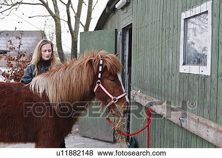 Woman feeding horse outdoors View Large Photo Image Stock Photo - Woman feeding horse outdoors. Fotosearch