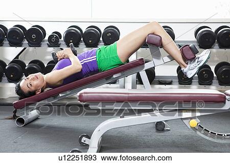 Woman lifting weights in gym View Large Photo Image Stock Image - Woman lifting weights in gym. Fotosearch