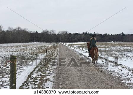 Woman riding horse on snowy path View Large Photo Image Stock Image - Woman riding horse on snowy path. Fotosearch