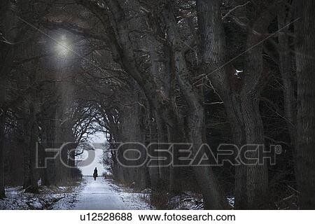 Stock Photo - Woman riding horse on snowy path. Fotosearch