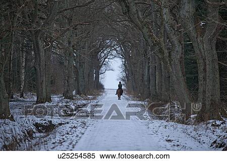 Stock Photography - Woman riding horse on snowy path. Fotosearch