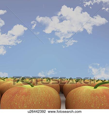 Stock Image - Apples arrangement under the sky. Fotosearch