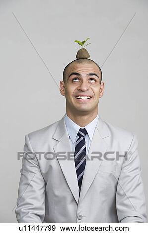 Businessman smiling with a sapling over his head View Large Photo Image Stock Photo - Businessman smiling with a sapling over his head. Fotosearch
