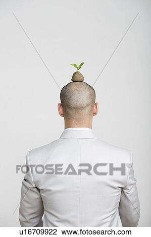 Businessman with a sapling on his head View Large Photo Image Stock Image - Businessman with a sapling on his head. Fotosearch