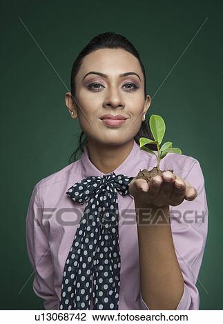 Businesswoman holding a seedling View Large Photo Image Stock Image - Businesswoman holding a seedling. Fotosearch