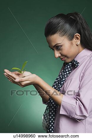Businesswoman holding a seedling View Large Photo Image Stock Image - Businesswoman holding a seedling. Fotosearch