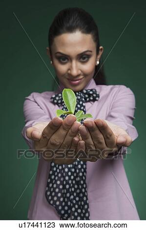Businesswoman holding a seedling View Large Photo Image Stock Image - Businesswoman holding a seedling. Fotosearch
