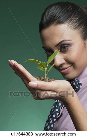 Businesswoman holding a seedling View Large Photo Image Stock Image - Businesswoman holding a seedling. Fotosearch