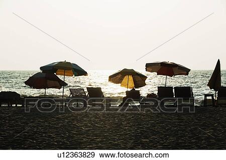Chairs and umbrellas on the beach, Goa, India View Large Photo Image Stock Photo - Chairs and umbrellas on the beach, Goa, India. Fotosearch