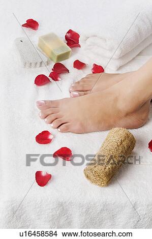 Picture - Close-up of a woman's feet with rose petals. Fotosearch