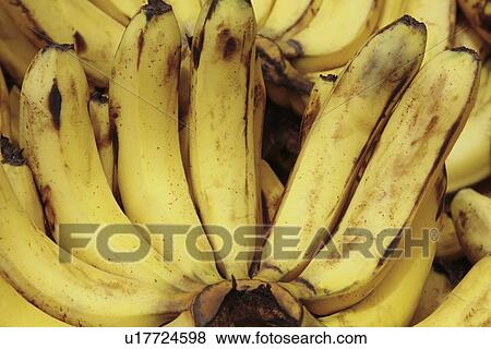 Close-up of bananas View Large Photo Image Stock Photo - Close-up of bananas. Fotosearch