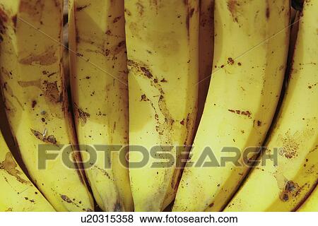 Stock Photo - Close-up of bananas. Fotosearch
