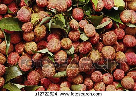 Close-up of lychees View Large Photo Image Picture - Close-up of lychees. Fotosearch