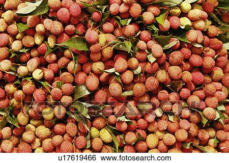 Close-up of lychees View Large Photo Image Stock Photograph - Close-up of lychees. Fotosearch
