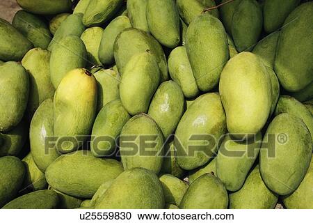 Close-up of mangoes View Large Photo Image Stock Image - Close-up of mangoes. Fotosearch
